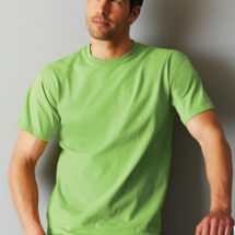 Ultra Cotton Adult T Shirt